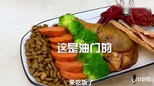 主人给比熊犬吃大餐，给金毛吃狗粮，金毛一怒打翻饭碗，逗