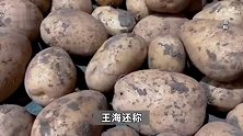 王海曝董宇辉高价卖“假有机”土豆，实为假助农真圈钱，客服回应