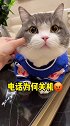 土豆的婴儿肥太可爱了 忍不住就想揪它的大脸脸️爱宠治愈季 2021新春日记 萌宠新春出道