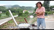秋妹花44元买了个大猪头，好吃到舔骨头，吃得好香，看得流口水