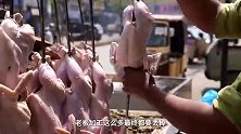 体验巴基斯坦街边烤全鸡