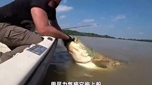 猜一猜这鲶鱼有多重？