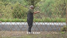 北方退休夫妻买房车隐居南方深山的日常生活