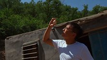 为了一颗笨鸡蛋，他爬了20多座山头