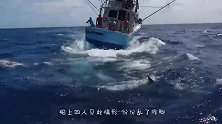 巨型剑鱼牵着一艘船，搞得船上4人手忙脚乱，差点“船毁人亡”！