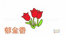 植物简笔画大全，画Q版郁金香简笔画