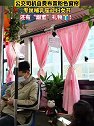 湖南长沙：公交司机自费布置粉色窗帘 专属哺乳座迎妇女节