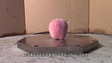 把苹果用液氮冷却，这能抵挡得住自由落体运动500斤的重量吗