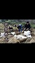 父母的养育之恩，是我们永远报不完的恩情。祝天下父母健康快乐