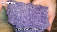 男子捡到一块奇怪的“葡萄石”，专家鉴定后，所有人都不淡定了
