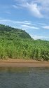 界河对岸的田园风光