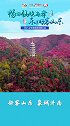 2021山东省旅游发展大会即将来袭，泉城济南与您一起共迎盛会！倒计时9天！驾游好客山东 打卡好客山东