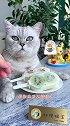 猫王：本喵能有什么坏心思，只不过是雪糕加点麻辣会做饭的猫 雪糕猫咪的报复心有多强