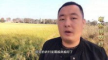 农民辛辛苦苦干了一辈子，钱哪去了？怎么有很多人拉饥荒过日子