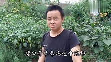 老三两口子制作泡椒，方法很简单，但愿能成功