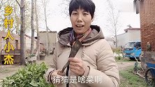 被称为“天然抗生素”的草，小杰拿它做了两道菜，即营养又美味