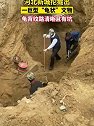 河北新城：挖掘出了一个巨型“龟状”文物，现已存放到当地寺庙