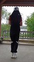 《黄土高坡》16步