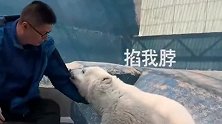 北极熊：我寻思你锁我喉也不好使啊