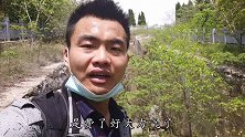 探秘不对外开放的徐州驮蓝山汉墓，墓道口有盗墓贼留下的证据