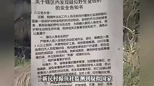 云南一地发现疑似金钱豹踪迹？当地回应
