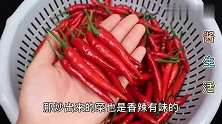 小米椒，放一年都不坏的好方法，不干瘪不发软，一年只买一次就行
