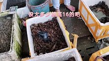 市场的小龙虾16元一斤，好便宜，赶紧买了6斤回家自己做着吃