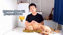 狗狗夜夜大叫？其实是主人自找的
