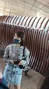 王子文，欢乐颂曲妖精喜欢吗