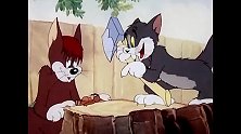 猫和老鼠：汤姆和野猫决定要把杰瑞分开，一人一半！