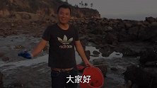 阿蜂赶海发现一个秘密螃蟹窝点，退潮后翻开带泥礁石螃蟹抓到手软