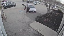 加拿大鹅对一女子穷追猛打，还嚣张钻进车里！被一脚踢开后才消停