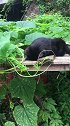 猫：别打扰我，我在这儿睡瞌睡呢！