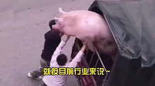 搞笑配音：大妈不愧是大妈！健身器材还可以这样玩？长见识了！
