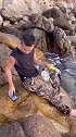 探索海螺岛第9天，下海抓海鲜，手机进水了