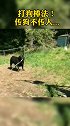 打狗棒法！传狗不传人...