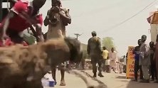 鬣狗连狮子都不怕，为啥害怕非洲人？看看非洲人是怎样对待它们的
