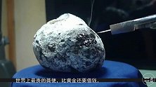 “龙涎香”比黄金还要贵，到底是怎么样形成的呢？看完涨知识了！