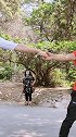 女神的舞蹈美极了