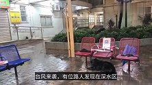 台风天土狗绑在长椅，原来狗主人也是一名无家之人
