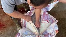 还不会挑选牛肉吗？今天农师傅用一整只牛来教大家，牛肉怎么选 美食