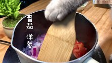 猫王：朴实无华的一餐