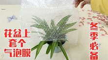 赶紧在花盆上套个气泡膜，神奇效果太棒了，等吃亏就晚了，快学学