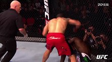 UFC-18年-本周最佳KO：维泰克尔五星连击开启中量级征服之路-精华