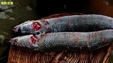 这么好的鱼被你煮成黑乎乎的，这还能吃吗？会不会太浪费了？