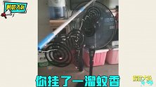 灭蚊的奇葩方式，我俩今天只能活一个！这手段都是狠人