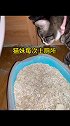 比猫妹还小的猫砂盆她用的也憋屈，我是该换一个大一点的猫砂盆还是训练猫妹在野外上厕所？哈哥猫妹