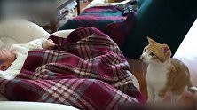对于新生的宝宝，猫咪忍不住非要动一下，真是太好奇了！