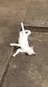 猫：这都是我的地盘，哪儿合适哪儿躺吧！
