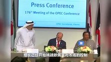 欧佩克新秘书长与美油气巨头首见，立场出奇一致！
